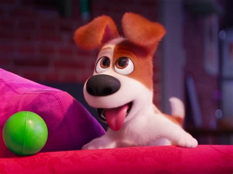 chloe secret life of pets|max the secret life of pets.